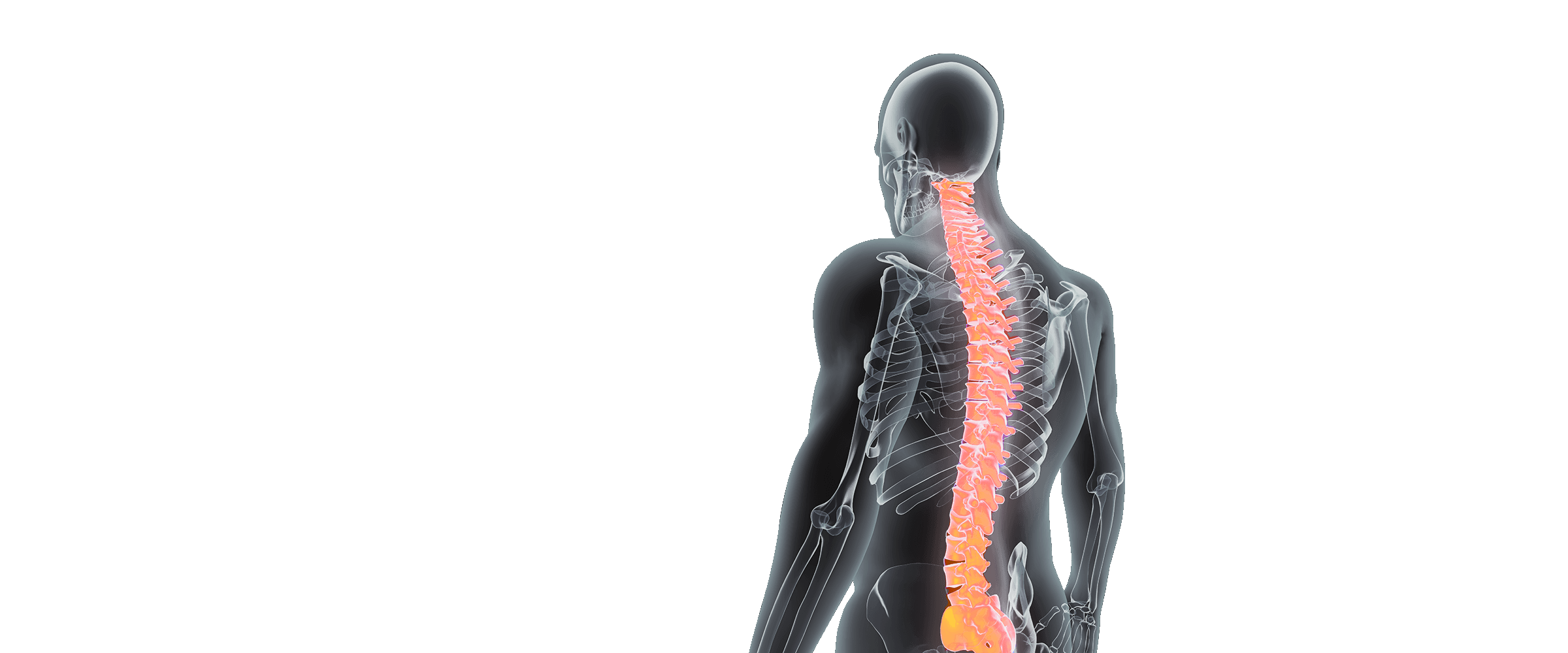 Spine Adjustment